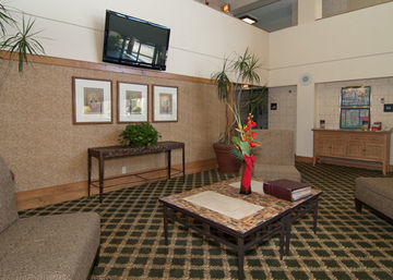 H I Express & Suites San Antonio Medical-Six Flags Exterior foto